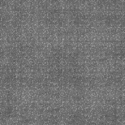 Carpet Floor