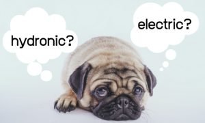 Cute pug dog with thought bubbles asking hydronic or electric heating questions